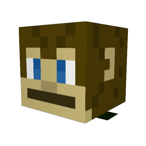 wilfredster1234 Minecraft avatar head, 3D render