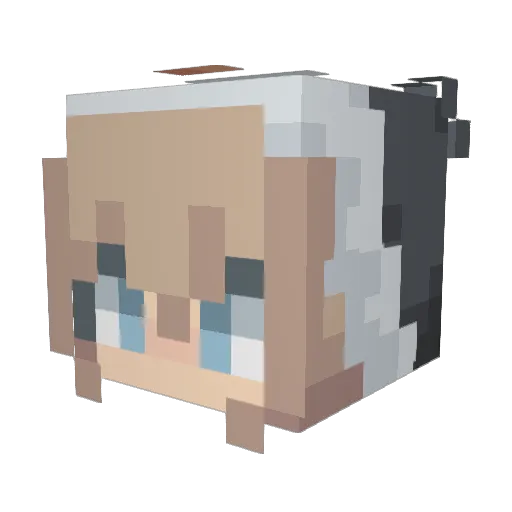 wiliii Minecraft avatar head, 3D render