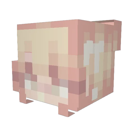 wiliken Minecraft avatar head, 3D render