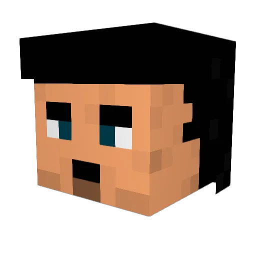 wilk_Max Minecraft avatar head, 3D render