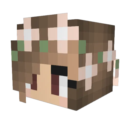 wilkster123 Minecraft avatar head, 3D render
