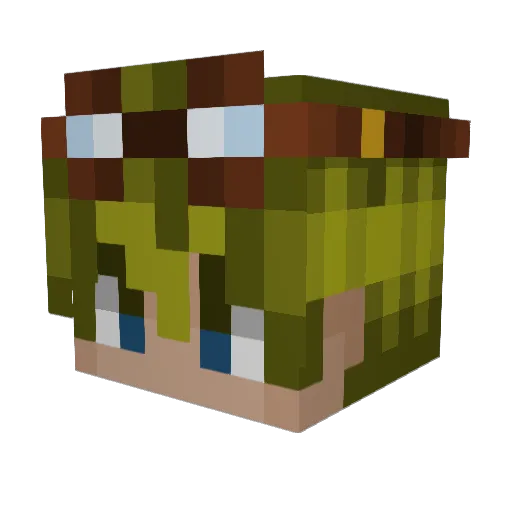 will009887 Minecraft avatar head, 3D render