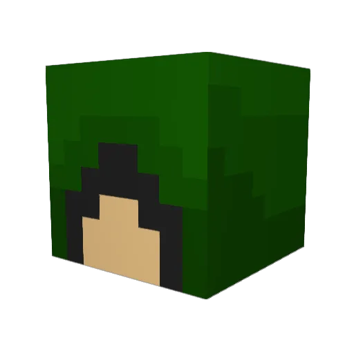 will010123000 Minecraft avatar head, 3D render