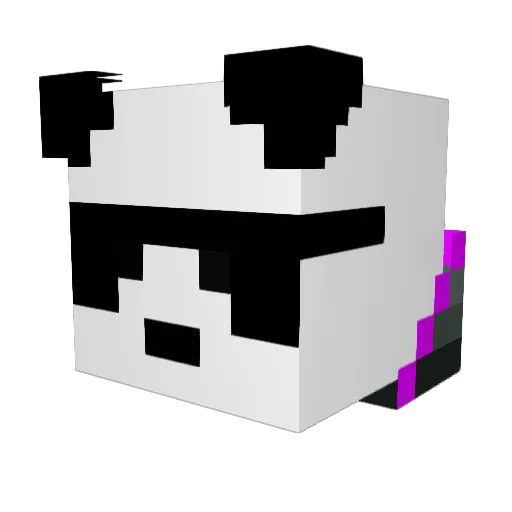 will5715 Minecraft avatar head, 3D render