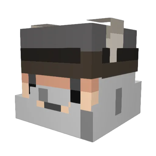 will799 Minecraft avatar head, 3D render