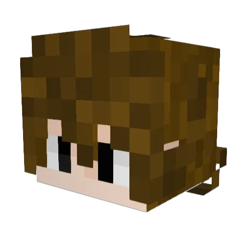 will_9ark Minecraft avatar head, 3D render