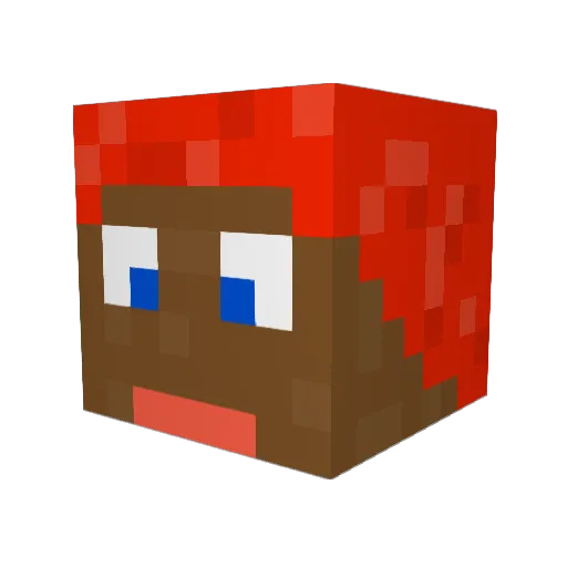 willarus2000 Minecraft avatar head, 3D render