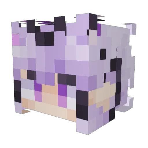 willdabest3335 Minecraft avatar head, 3D render
