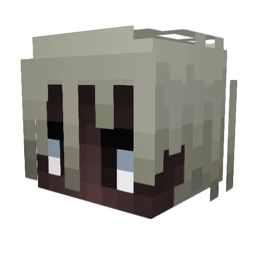 willdev37 Minecraft avatar head, 3D render