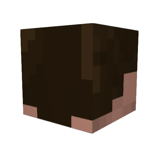 willetm Minecraft avatar head, 3D render