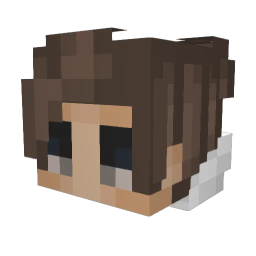 willgotskillz Minecraft avatar head, 3D render