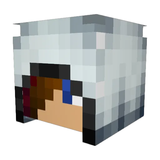 willguy12345 Minecraft avatar head, 3D render