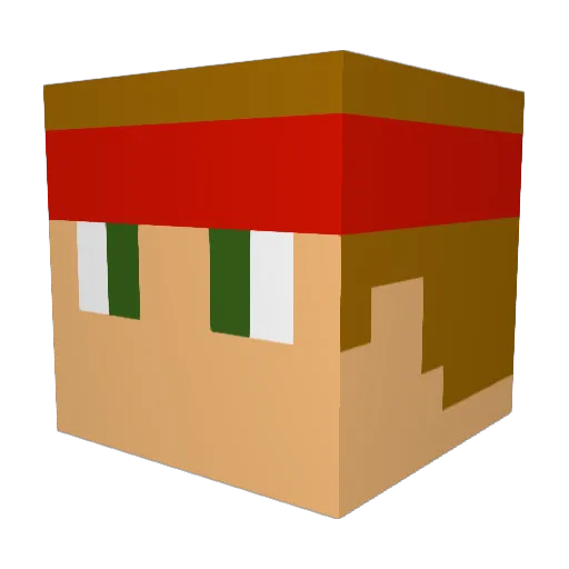 willhassomefear Minecraft avatar head, 3D render