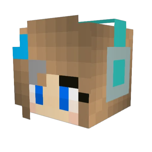 william12703 Minecraft avatar head, 3D render