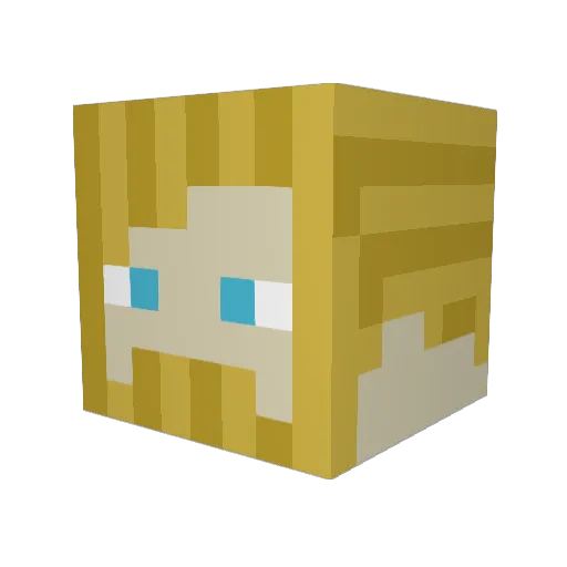 william20 Minecraft avatar head, 3D render