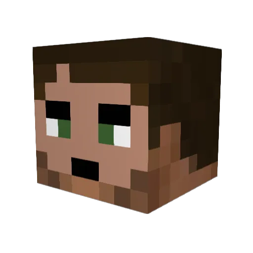 william8102 Minecraft avatar head, 3D render