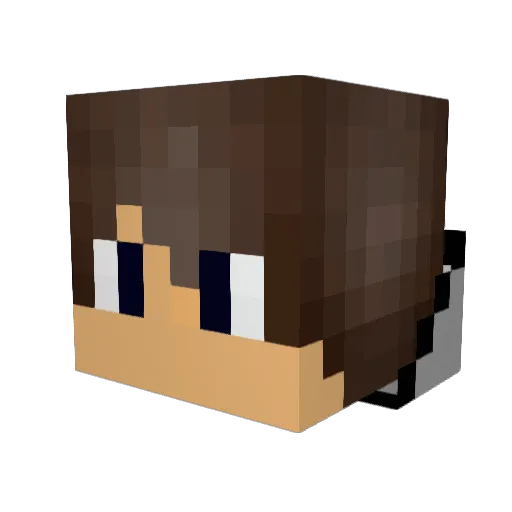 william8425 Minecraft avatar head, 3D render