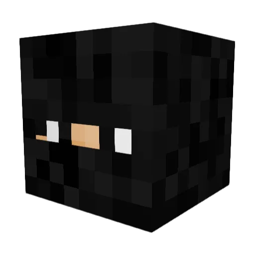 william_yeet Minecraft avatar head, 3D render