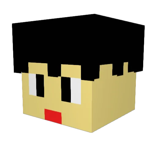 williamshin8 Minecraft avatar head, 3D render