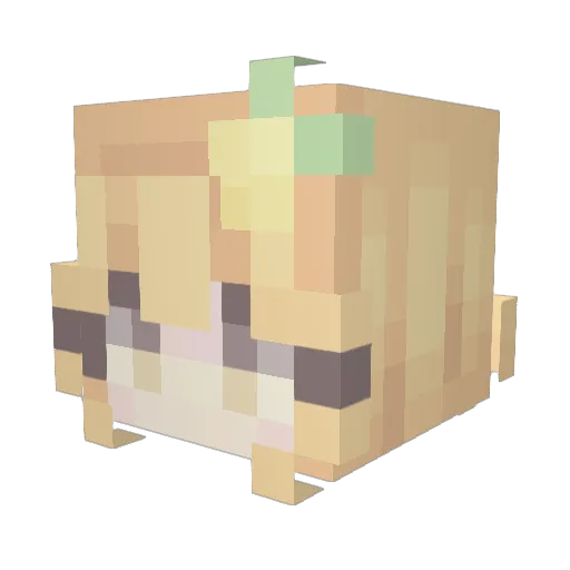 williamv419 Minecraft avatar head, 3D render