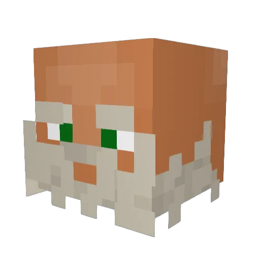 williamweird Minecraft avatar head, 3D render