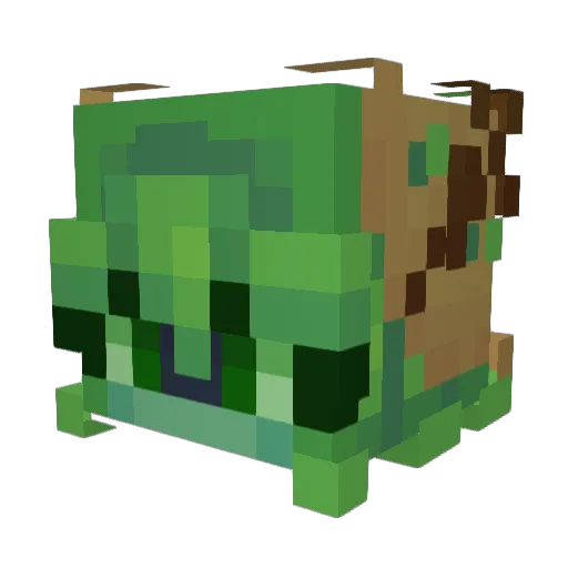 willidynasty Minecraft avatar head, 3D render