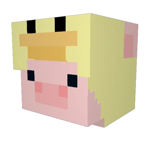 williwillsun Minecraft avatar head, 3D render