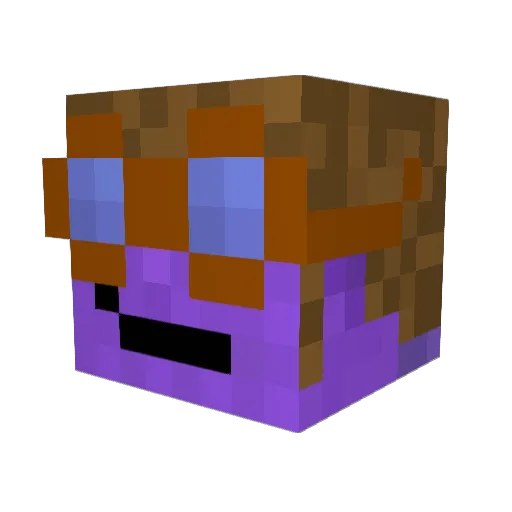 willmancoolman22 Minecraft avatar head, 3D render