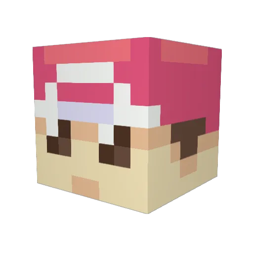 willmaples423 Minecraft avatar head, 3D render