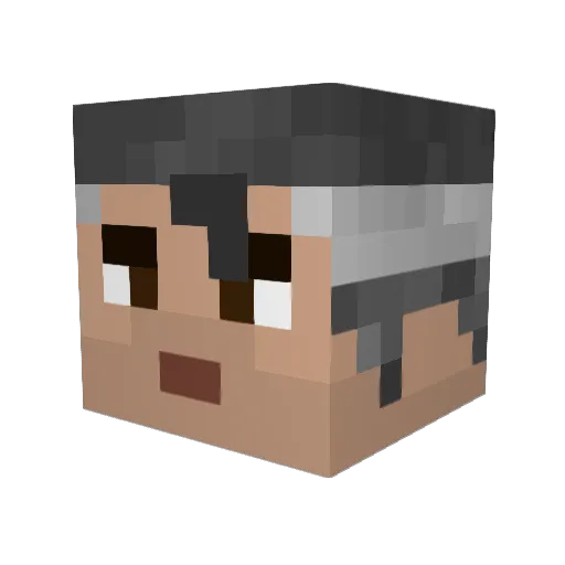 willnator1 Minecraft avatar head, 3D render