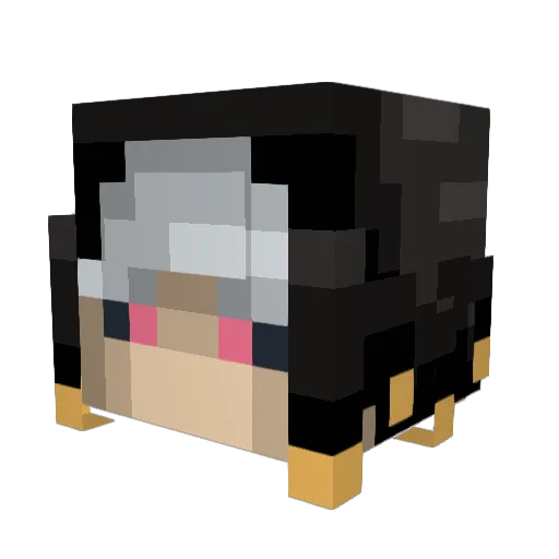 willo1221 Minecraft avatar head, 3D render