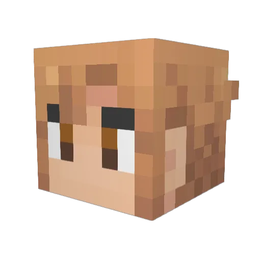 willo12swag Minecraft avatar head, 3D render
