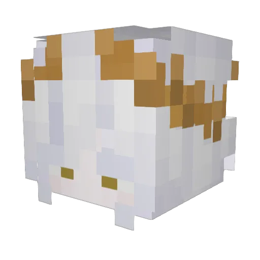 willowhxn Minecraft avatar head, 3D render