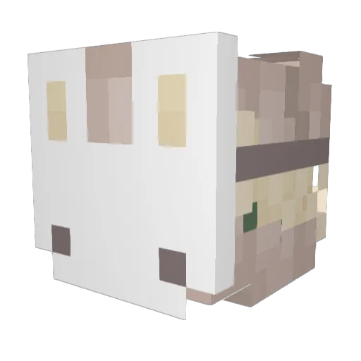 willowrae42 Minecraft avatar head, 3D render