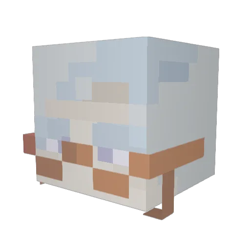 willowxrose Minecraft avatar head, 3D render
