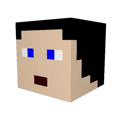 wills1997 Minecraft avatar head, 3D render