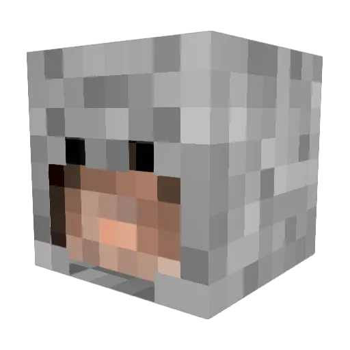willverdrag1314 Minecraft avatar head, 3D render