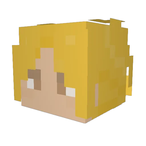 willyb_nc Minecraft avatar head, 3D render