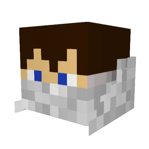 willyronca123 Minecraft avatar head, 3D render