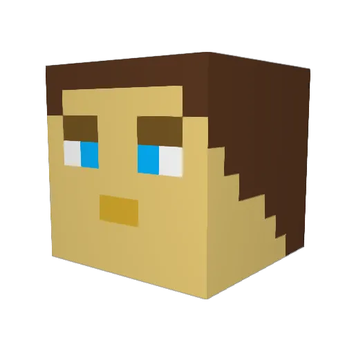willysoxter Minecraft avatar head, 3D render