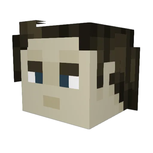 willywillywilly Minecraft avatar head, 3D render