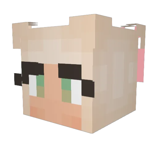 wilmasofie1 Minecraft avatar head, 3D render