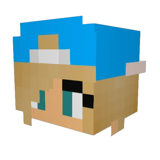 wilmsan123 Minecraft avatar head, 3D render