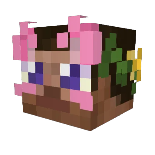 wilpys Minecraft avatar head, 3D render