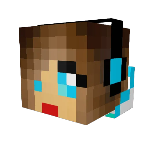 wils2001 Minecraft avatar head, 3D render