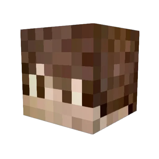 wilsigs Minecraft avatar head, 3D render