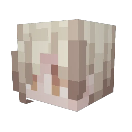 wilussy Minecraft avatar head, 3D render