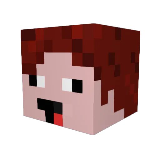 wimpyboi Minecraft avatar head, 3D render