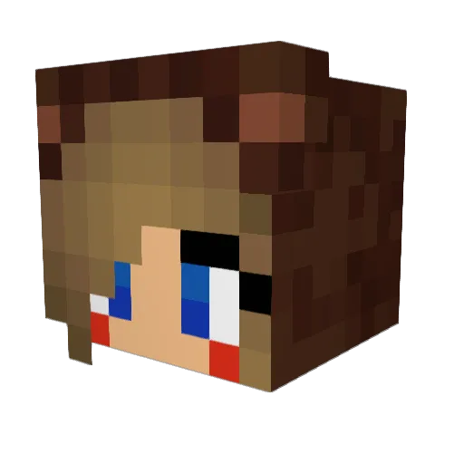 wimpycat Minecraft avatar head, 3D render