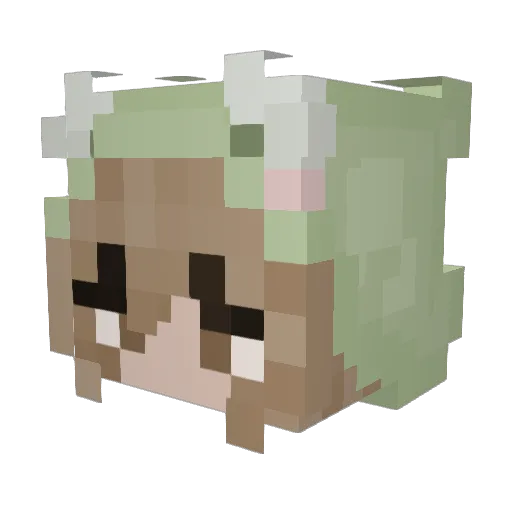 wimpysimpy Minecraft avatar head, 3D render